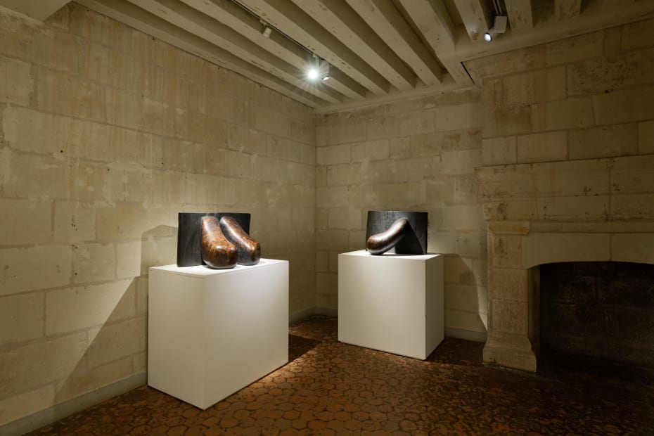 Photo : Aurélien Mole