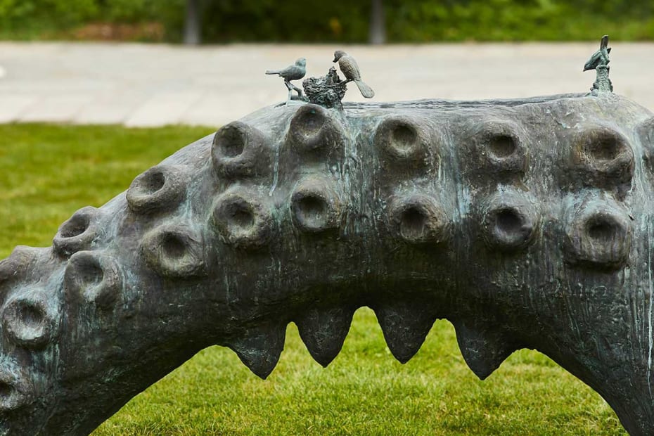 Photo : Jean-Chistophe Lett