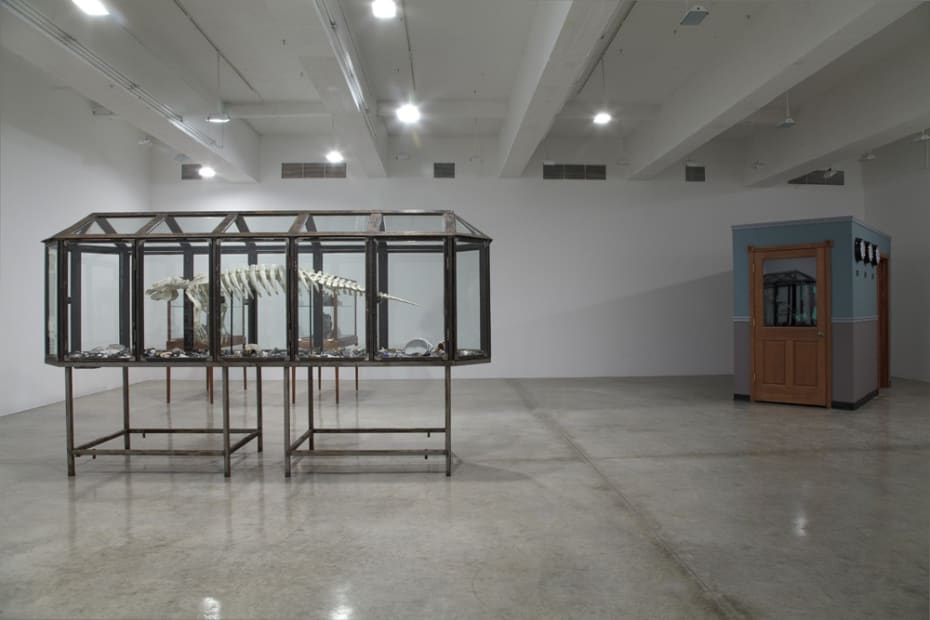 Dion install view with glass cabinets and skeletons