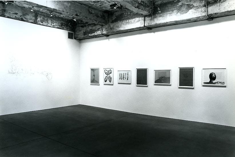 Charles Long installation view at TBG, drawings