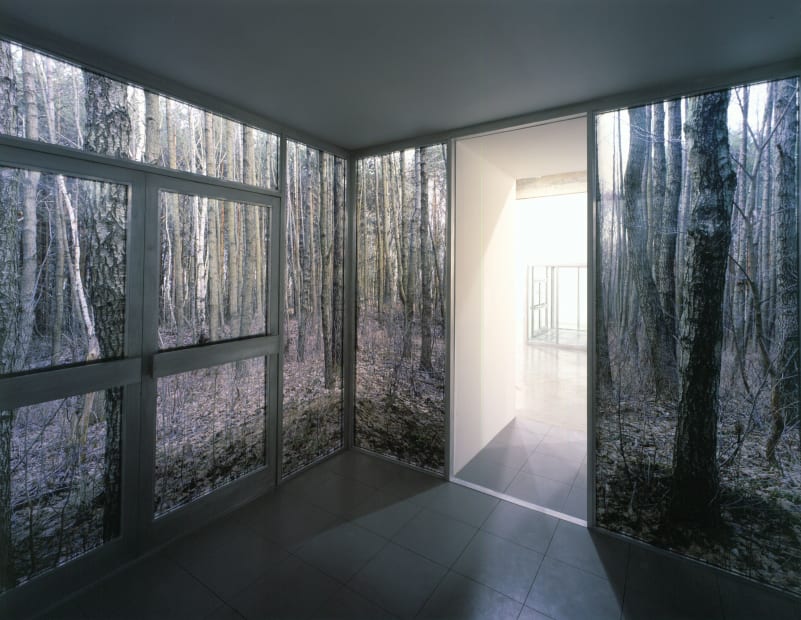 Hornig inside sculptural structure with tree photographs