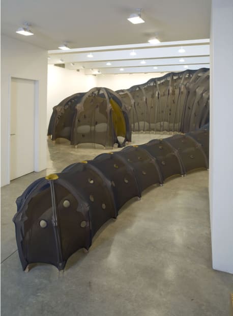 Ernesto Neto tunnel made of fabric