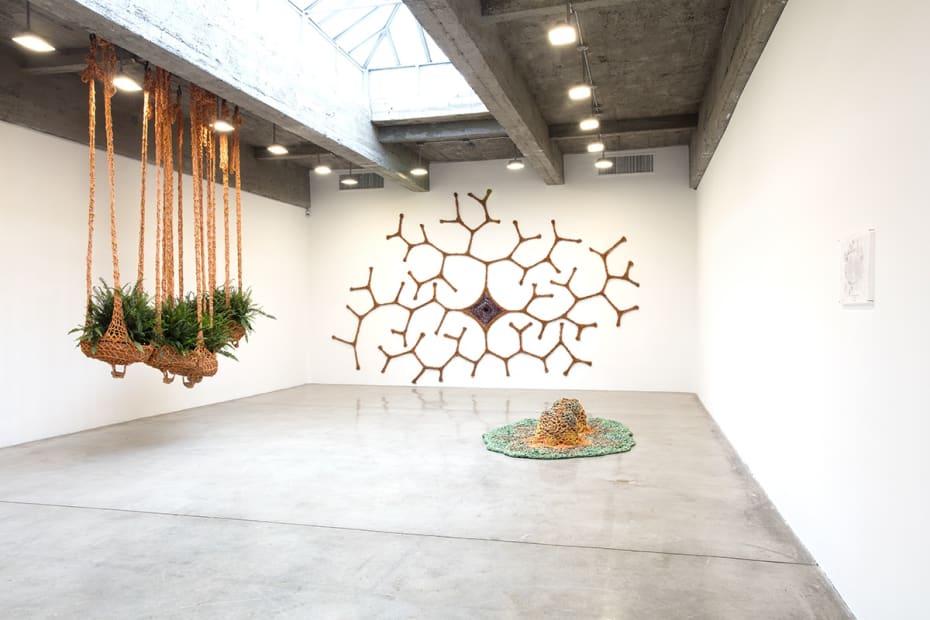 Ernesto Neto installation view at TBG with 3 sculptures