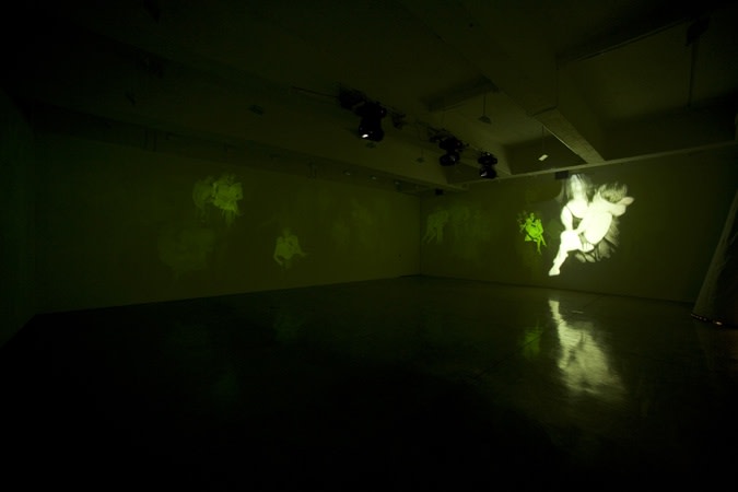 installation view of Collishaw projections