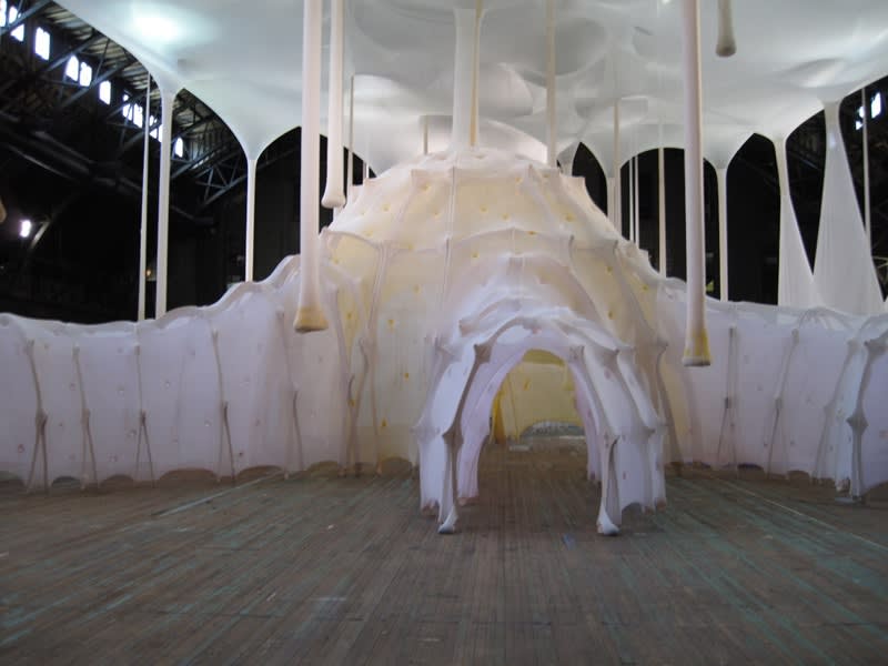 Ernesto Neto fabric sculptural form making tunnels