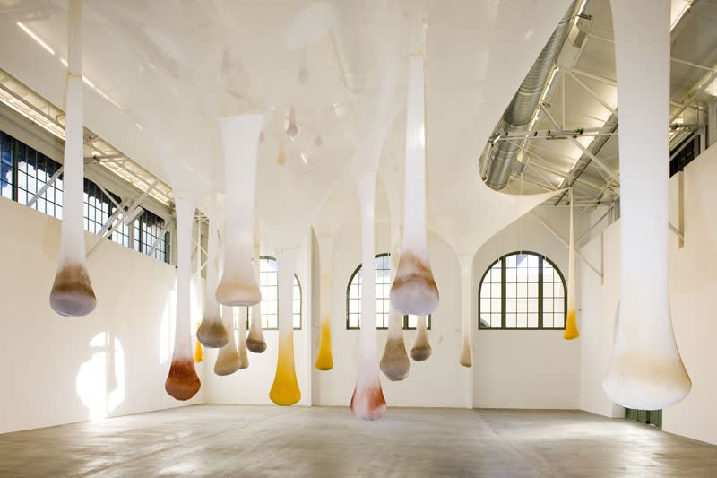 Ernesto Neto spices hanging from ceiling