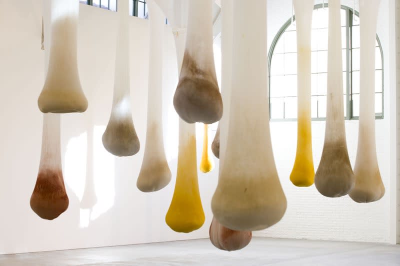 Ernesto Neto spices hanging from ceiling