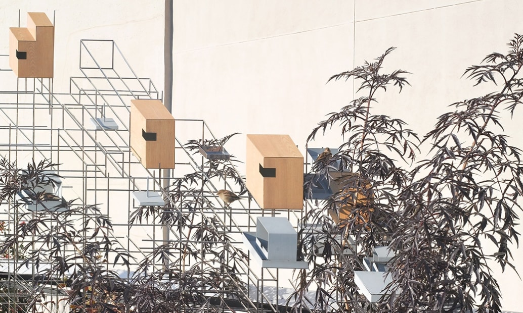 Image of a bird house sculpture on the highline