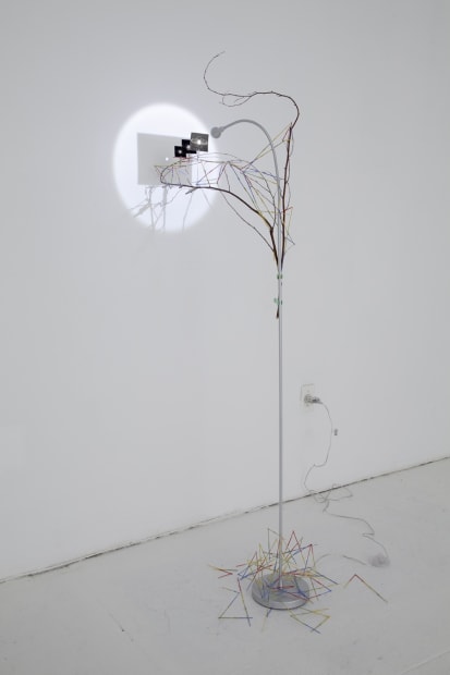 Image of sculpture with branches, paper, and light