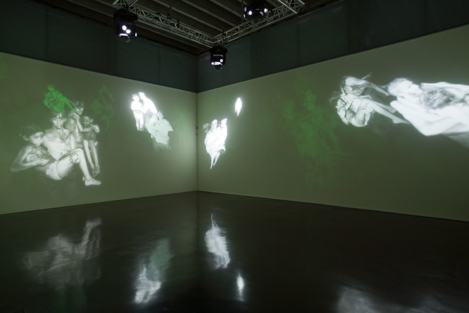 Image of Matt Collishaw installation / projection on walls
