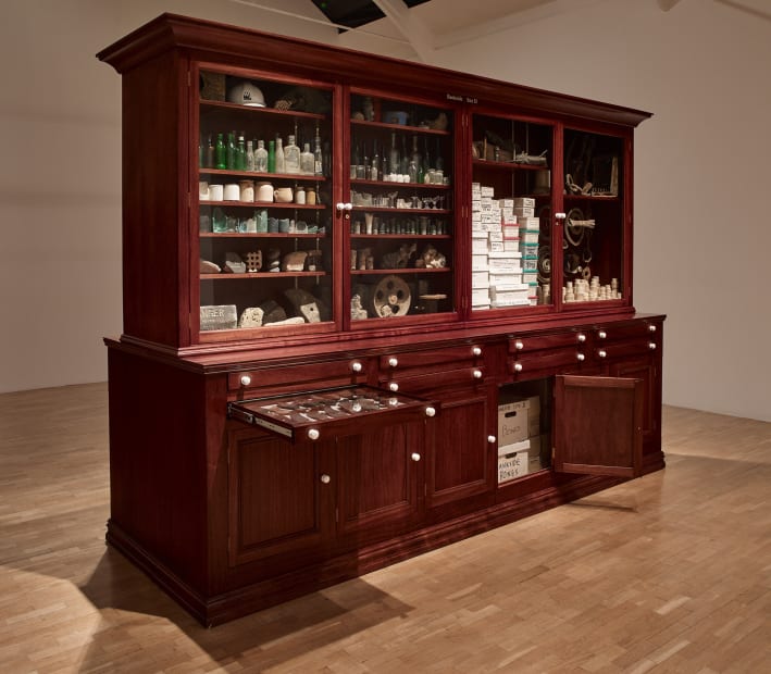 image of Mark Dion cabinet sculpture