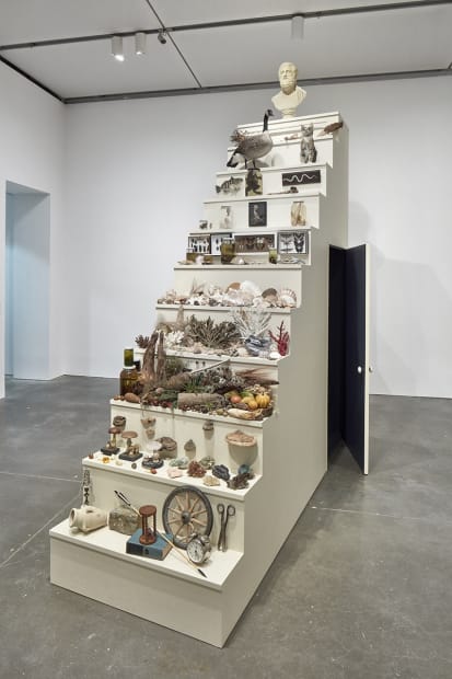 Image of Mark Dion sculptures at ICA Boston
