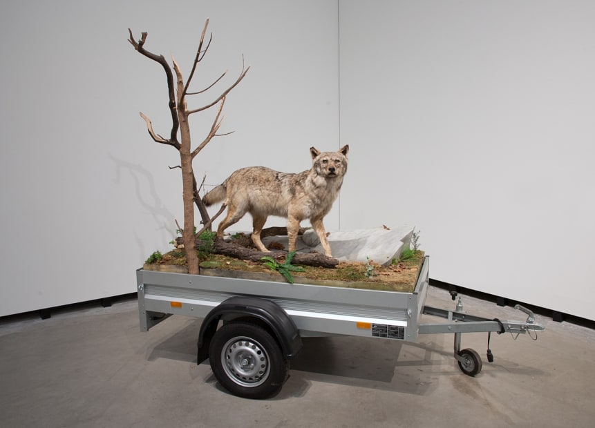 Image of Mark Dion exhibition, fox on a car