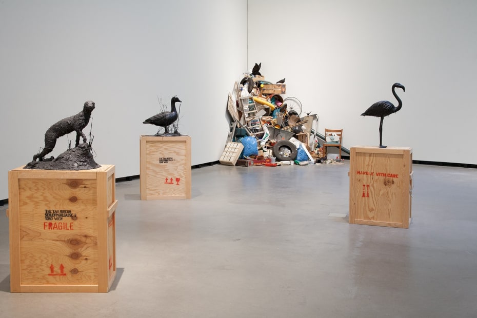 Image of Mark Dion exhibition installation view, animals on crates