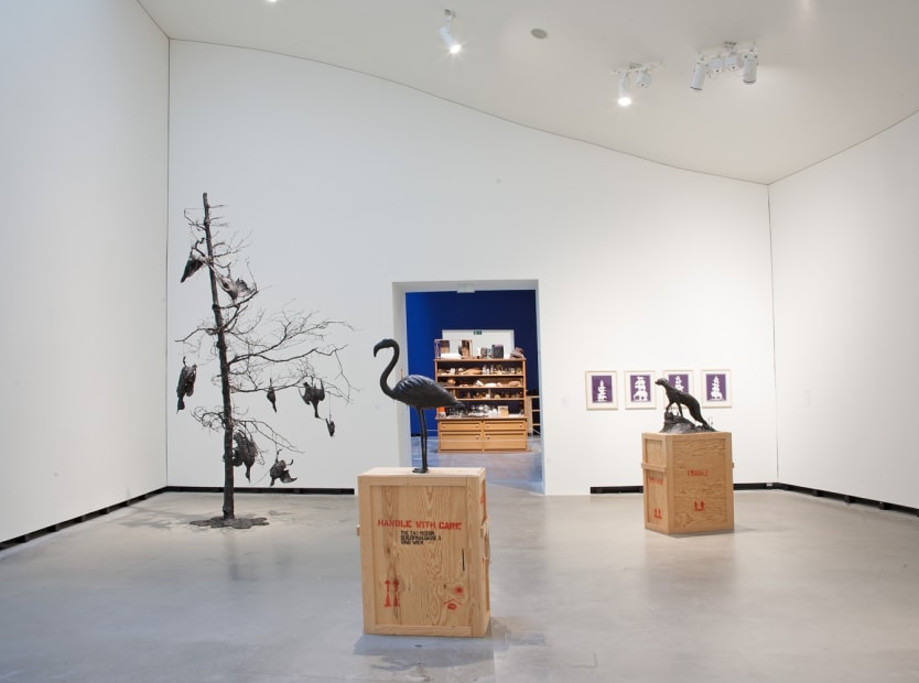 Image of Mark Dion exhibition installation view