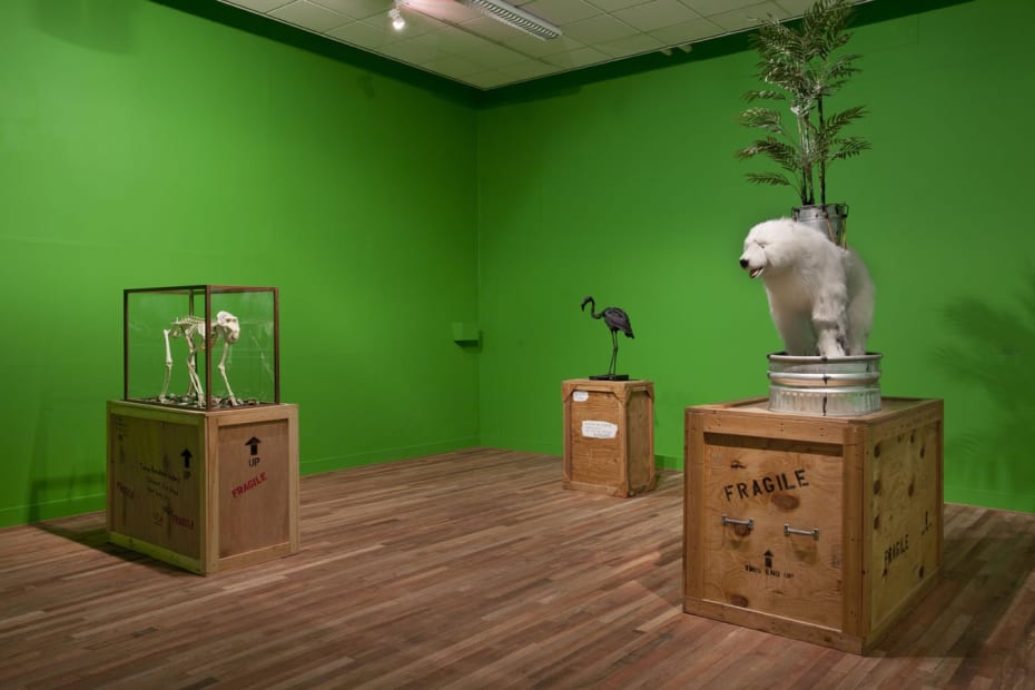 image of Mark Dion installation with animals on crates