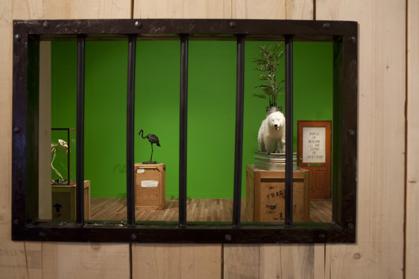 image of Mark Dion installation with animals on crates