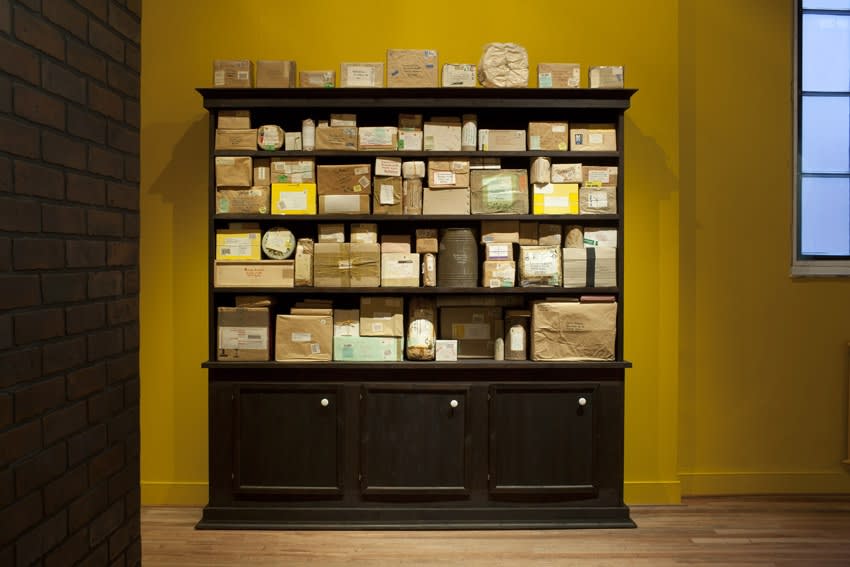 image of Mark Dion installation / cabinet full of boxes