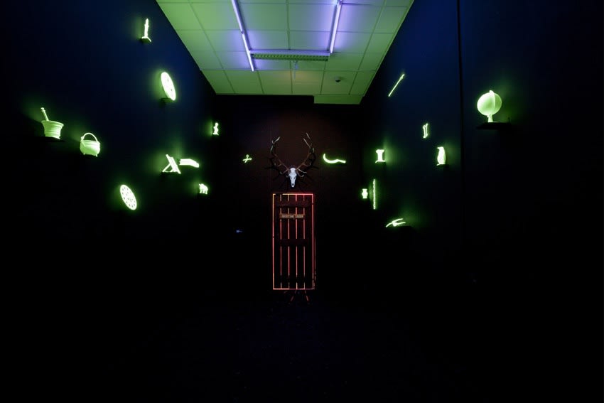 image of Mark Dion installation / glow in the dark objects