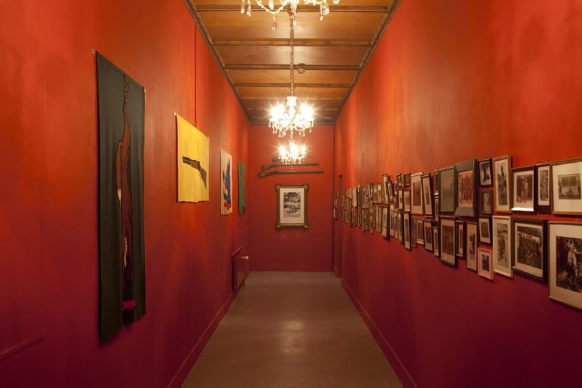 image of Mark Dion installation red hallway with artwork on walls