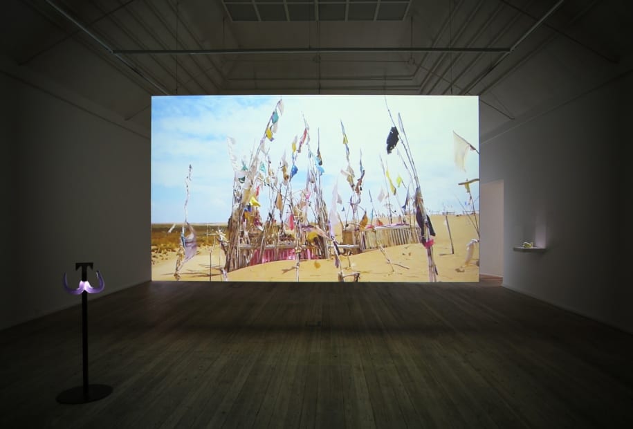 Image of an installation view of Slavs and Tatars - projection