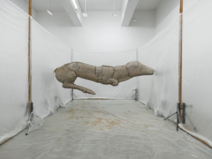 image of Manders sculpture, installation at TBG