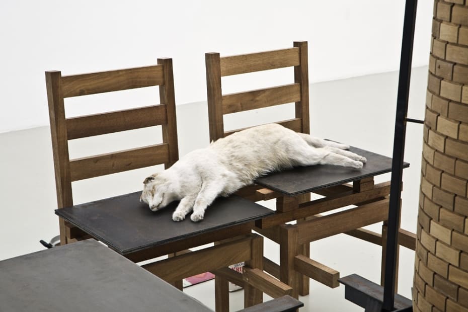 image of Mark Manders cat laying on table