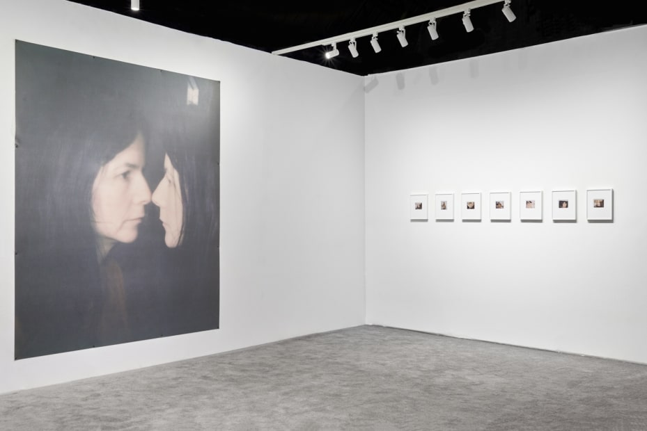 image of Gillian Wearing polaroids and large image of her looking in the mirror