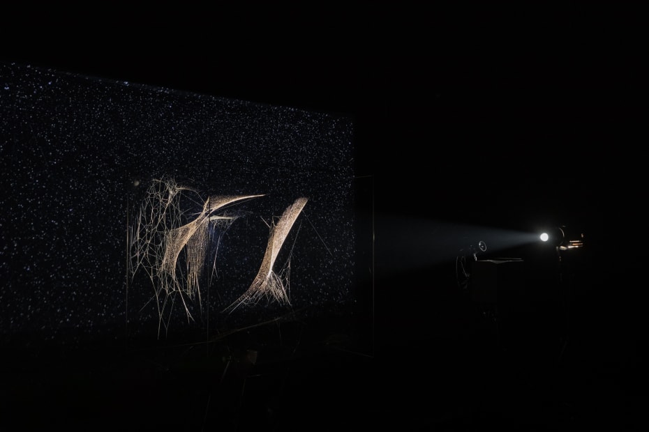 image of spotlit spider webs in dark room