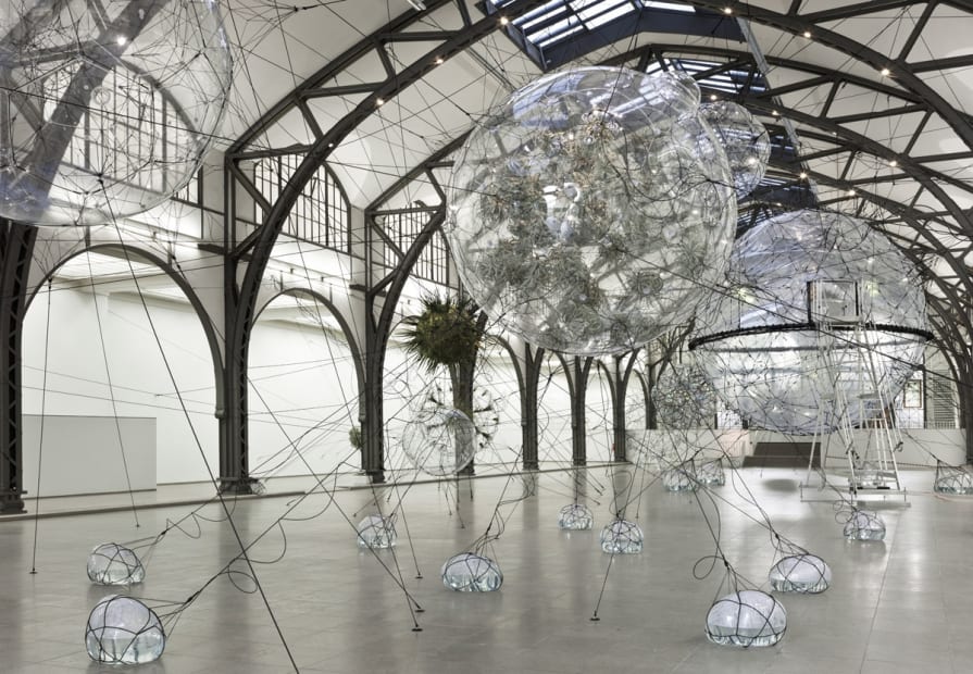 image of biosphere sculptures with plants