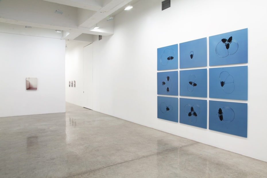 Installation view of The Bigger Picture.