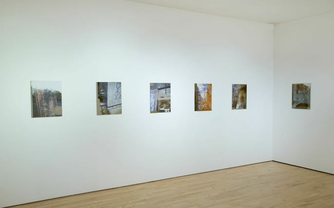 image of photographs installed on a wall