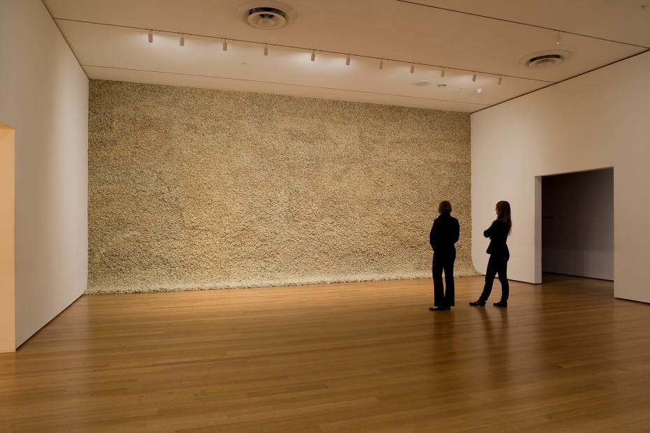 installation image of Eliasson Moss Wall at MoMA