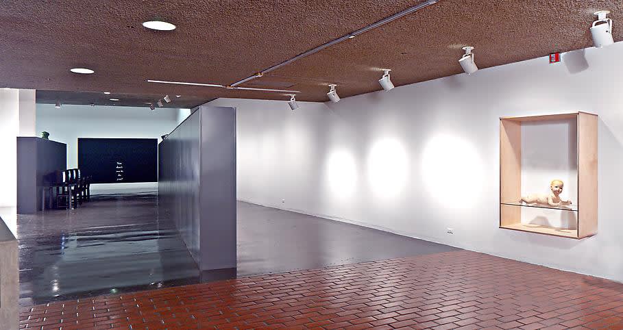 image of Haim Steinbach installation view at Berkeley