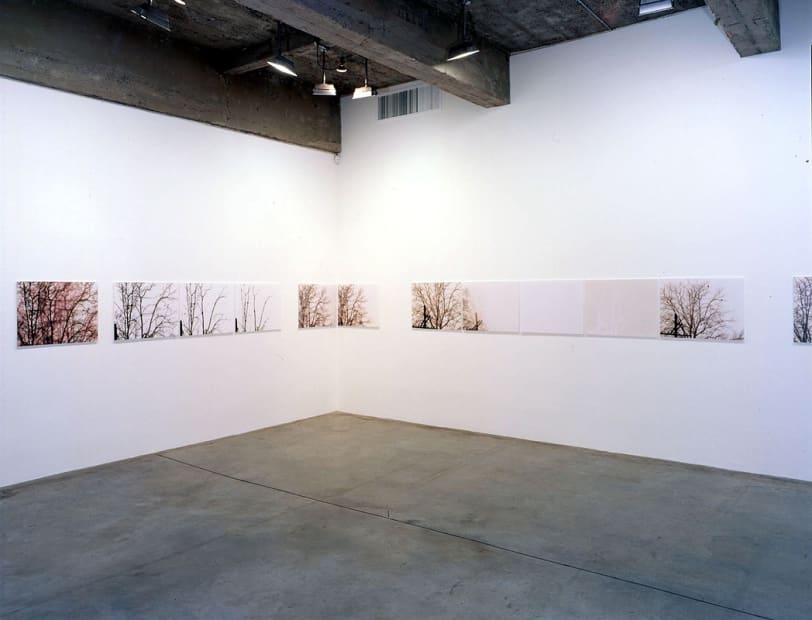 Uta Barth, white blind installation view