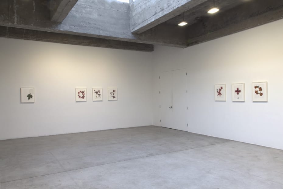 image of Peggy Preheim installation of drawings