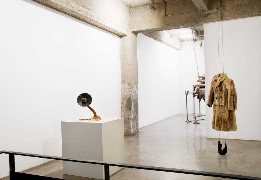 Installation view of Siobhán Hapaska: The Nose that Lost its Dog.