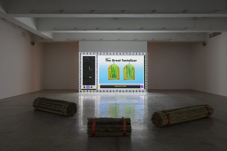 Wong Ping installation view at TBG NY