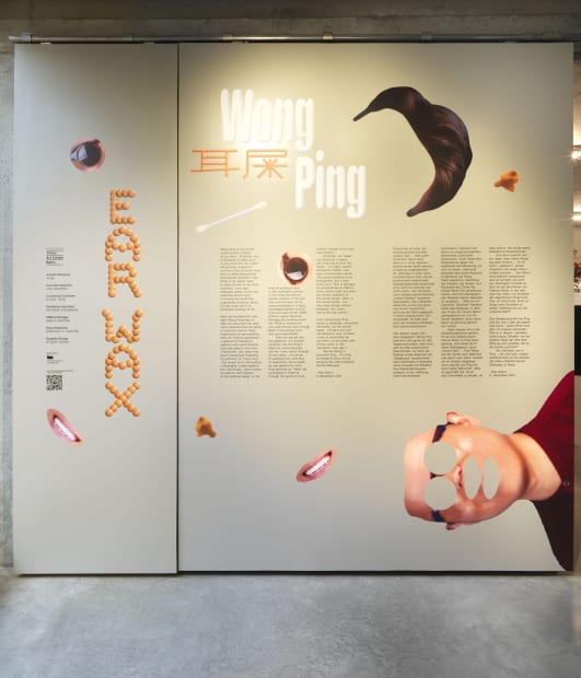 Wong Ping installation view of Earwax