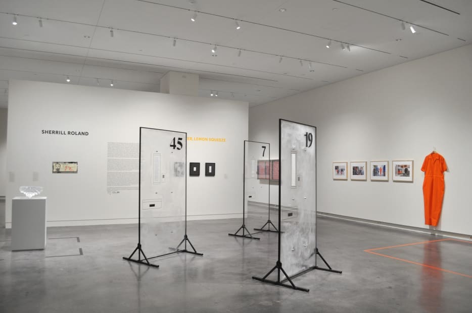 Installation view of Sherrill Roland: Sugar, Water, Lemon Squeeze at the Asheville Art Museum, Asheville, NC. Image courtesy of the Asheville Art Museum.