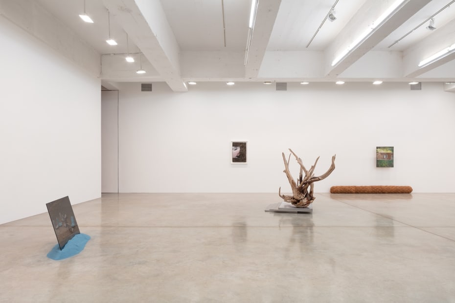 Installation image, Karyn Olivier, sculptures and 2D works in a neutral room