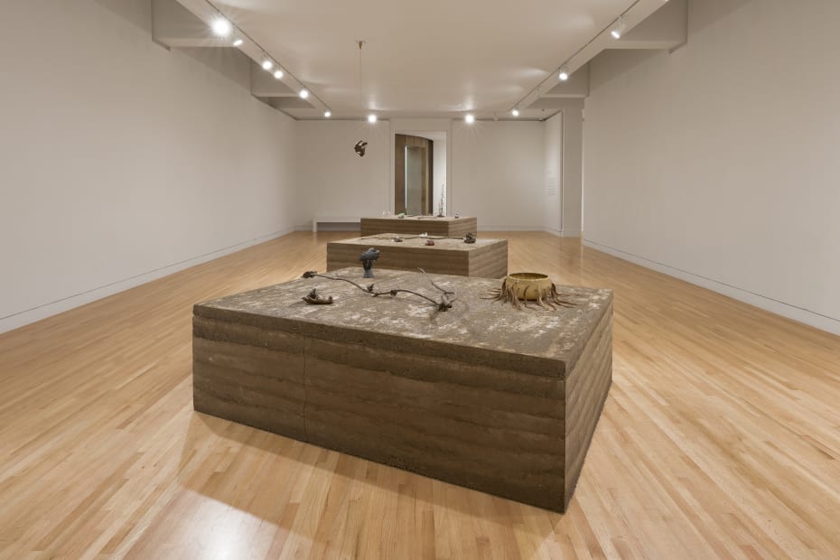a group of earth colored sculptures within a gallery with white walls and wood floors