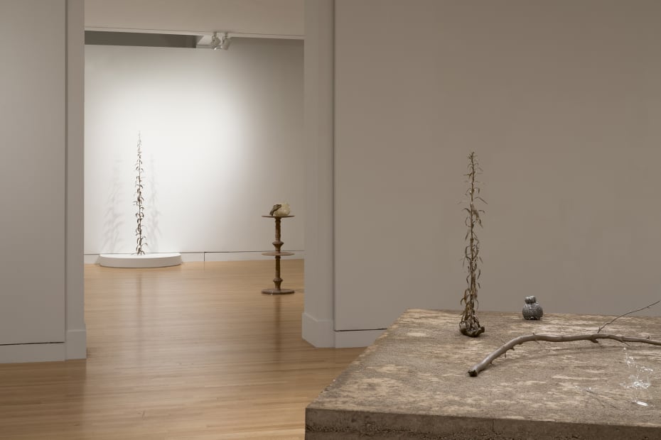 a group of earth colored sculptures within a gallery with white walls and wood floors