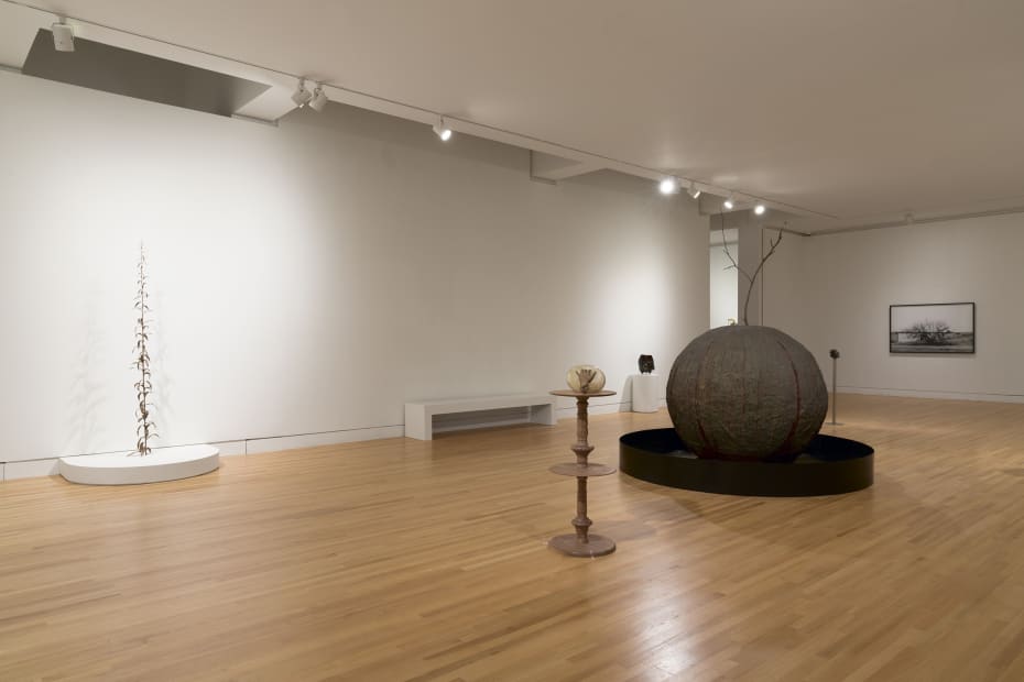 sculptures spaced out in a gallery with white walls and wood floors