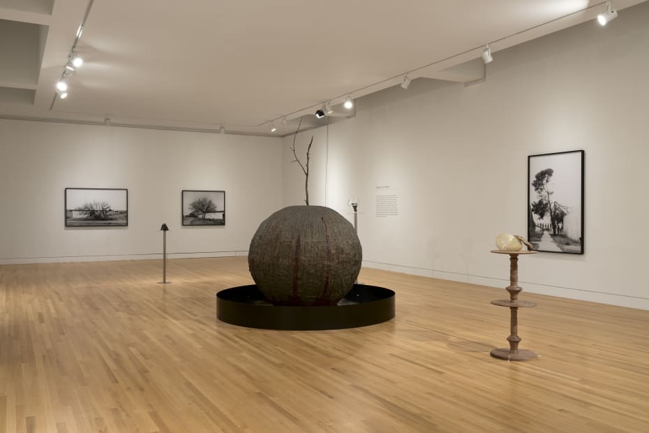 sculptures spaced out in a gallery with white walls and wood floor