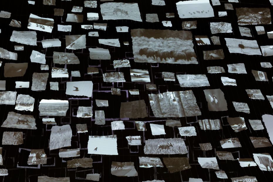 Sarah Sze installation image at Nasher Sculpture Center, Dallas, 2024.