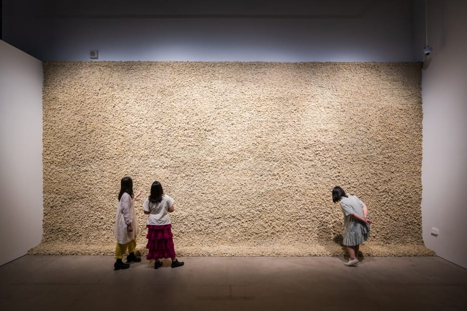 Installation view: Olafur Eliasson: Your curious journey, SAM at Tanjong Pagar Distripark, Singapore, 2024