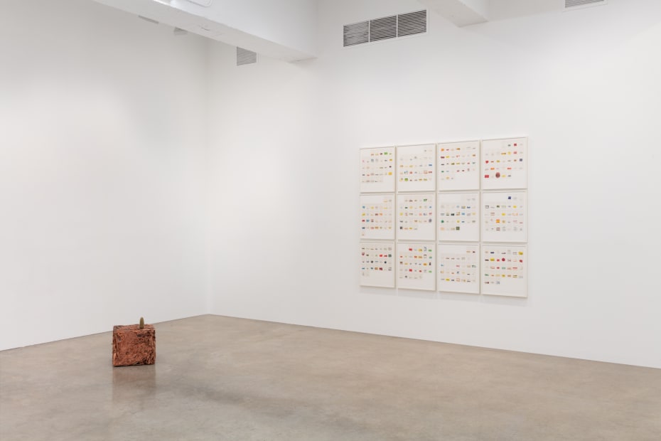 THE OBJECTS WE CHOOSE, CURATED BY PEDRO ALONZO installation images