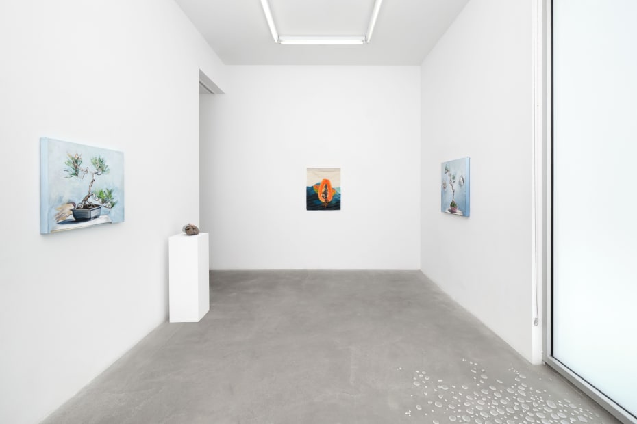 Installation image of Signal Fires at Tanya Bonakdar Gallery, Los Angeles.