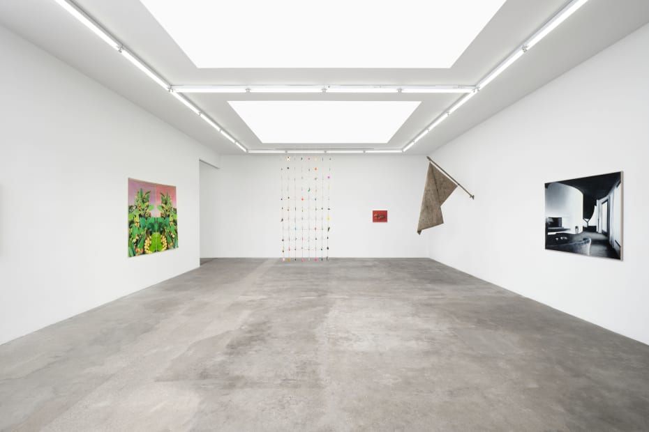 Installation image of Signal Fires at Tanya Bonakdar Gallery, Los Angeles.
